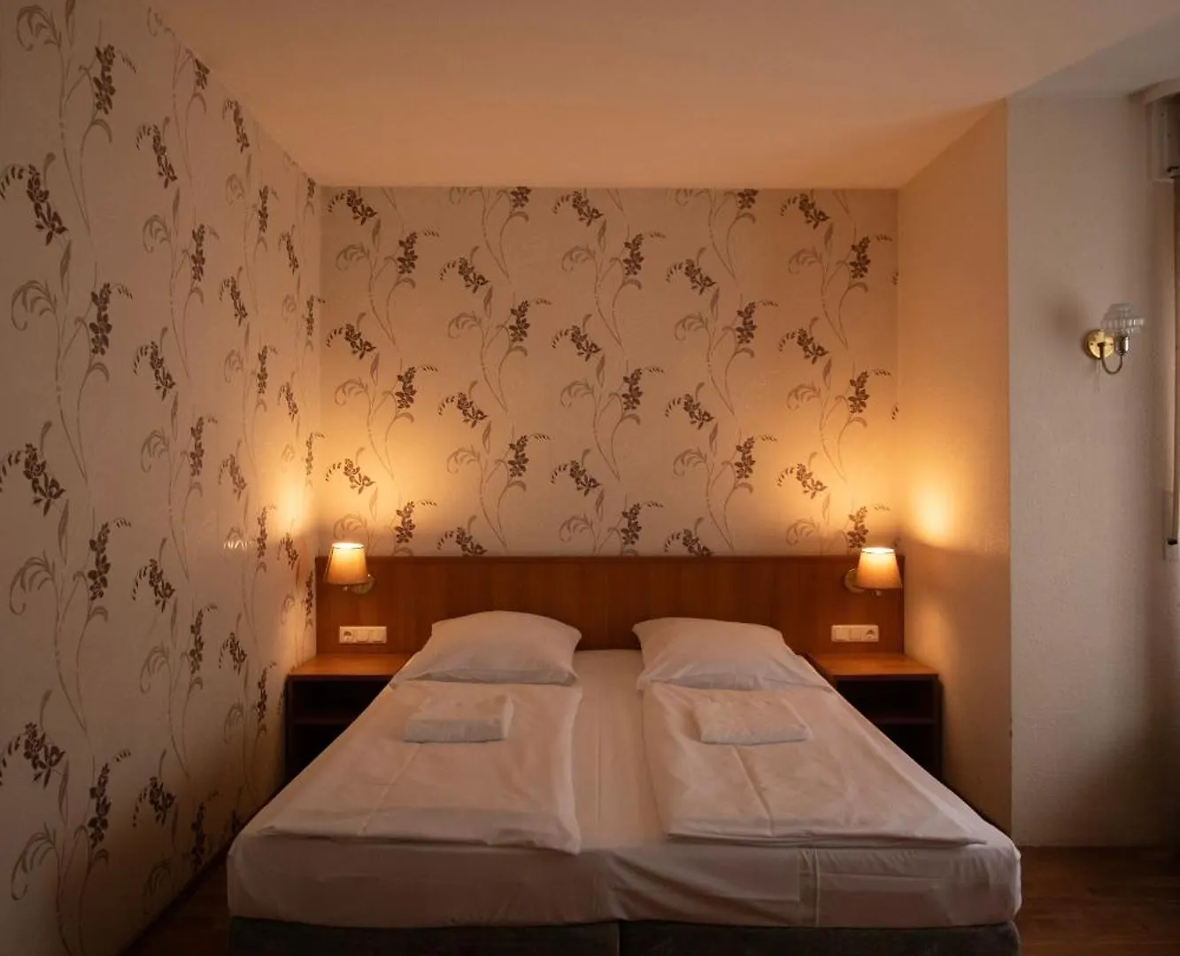 Villa Ento Hotelwestend 美因河畔法兰克福 德国